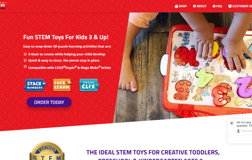 eCommerce Consulting, Amazon Consulting & eCommerce Website Development screenshot 1